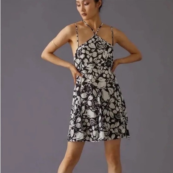 Anthropologie Dresses & Skirts - Anthropologie Sheer Black and White Mini Dress Casual Women’s NWT Large NEW